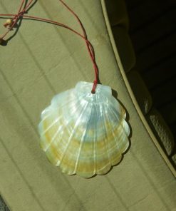 Petepierce.shop91fc9cb30d 2